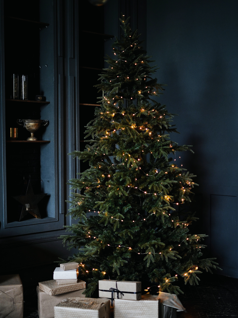 Nordmann fir Christmas Tree, 150-175 cm